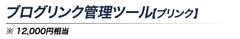 ブログリンク管理ツール【ブリンク】※12,000円相当